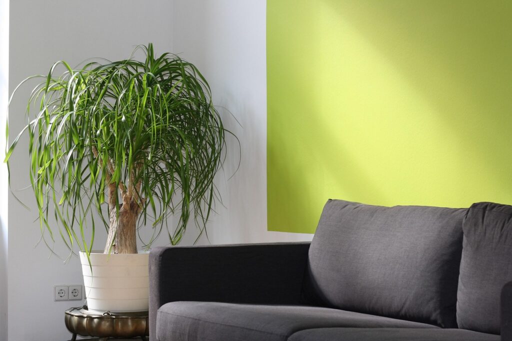 Home office, coaching, sofa, seminar, training, office, coaching, coaching, coaching, coaching, sofa, sofa, sofa, sofa, sofa