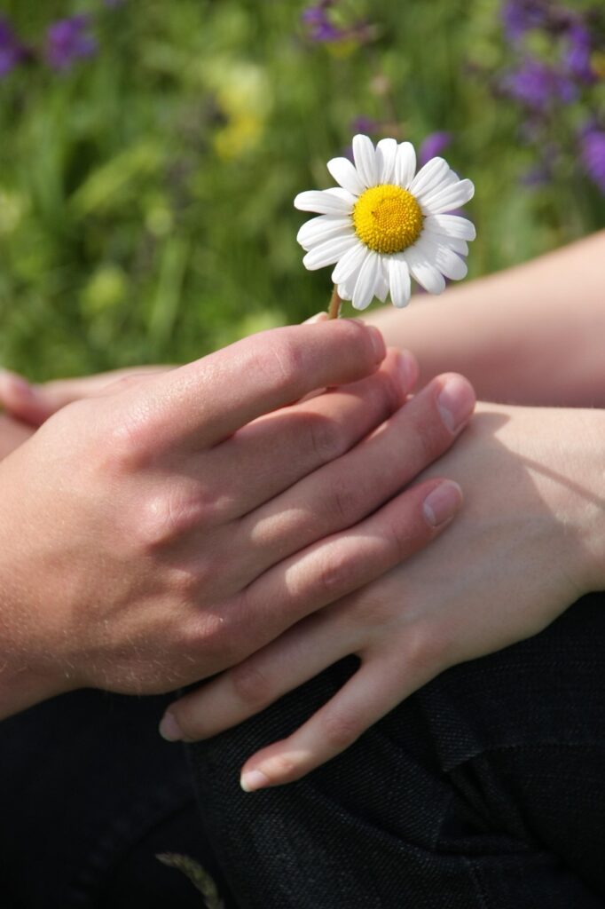 touch, hand, flower, finger, woman, people, communication, female, white, care, connection, symbol, touching, love, present, gift, valentine, friendship, male, relationship, romance, trust, couple, two, young, human, man
